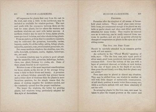 E627 - Manners, Culture and Dress - 1894 - 1446-1447