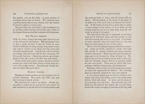 E627 - Manners, Culture and Dress - 1894 - 1448-1449