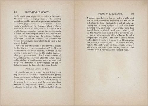 E627 - Manners, Culture and Dress - 1894 - 1450-1451