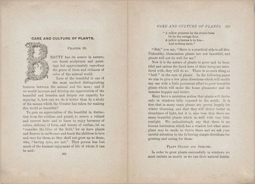 E627 - Manners, Culture and Dress - 1894 - 1452-1453