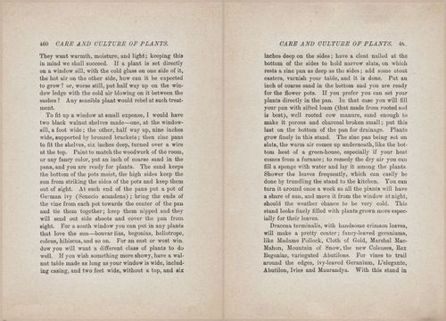E627 - Manners, Culture and Dress - 1894 - 1454-1455
