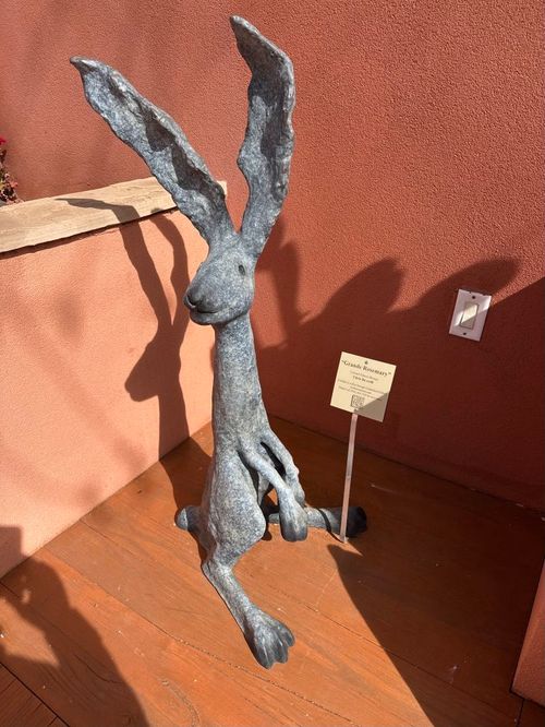 In Sedona [ 2025-02-10 19:49:59 ]