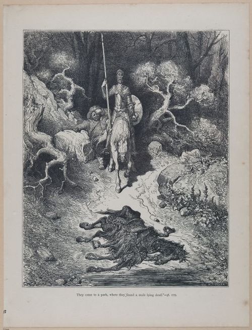 E644 Don Quixote 2024 - i2127