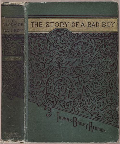 E628 - The Story of a Bad Boy - 1869 - 4476