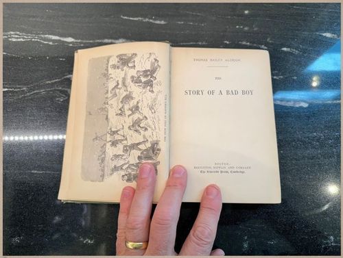 E628 - The Story of a Bad Boy - 1869 - 9185
