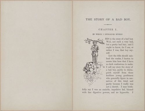 E628 - The Story of a Bad Boy - 1869 - 3614