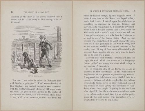 E628 - The Story of a Bad Boy - 1869 - 3619-3620