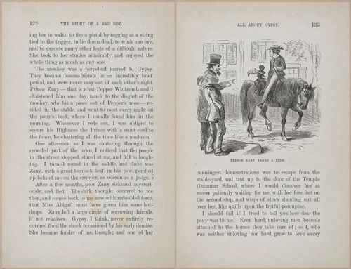 E628 - The Story of a Bad Boy - 1869 - 3730-3731