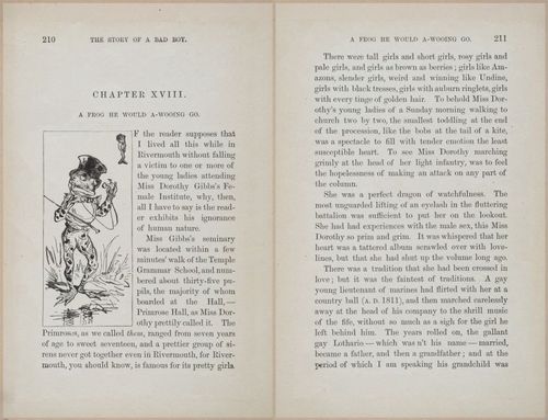 E628 - The Story of a Bad Boy - 1869 - 3818-3819