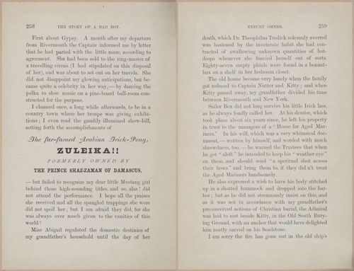 E628 - The Story of a Bad Boy - 1869 - 3866-3867
