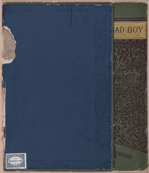 E628 - The Story of a Bad Boy - 1869 - 4477