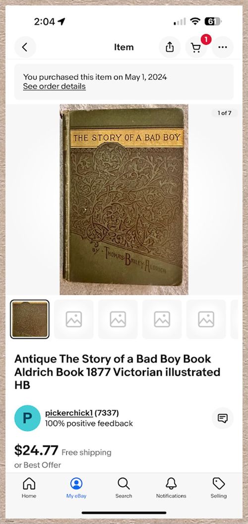 E628 - The Story of a Bad Boy - 1869 - 9191
