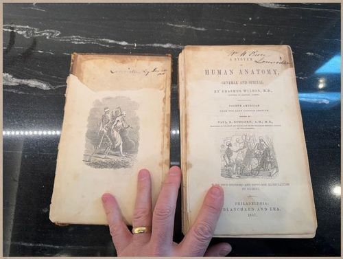 E675 - A System of Human Anatomy - 1857 - 2701