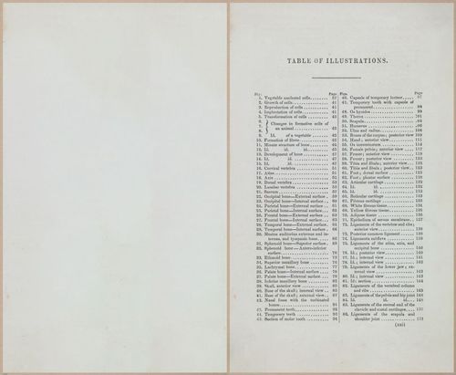 E675 - A System of Human Anatomy - 1857 - 4495
