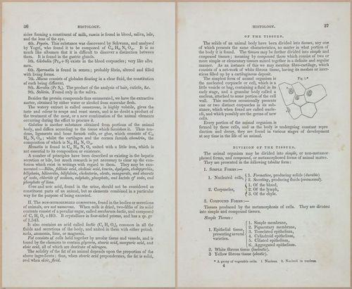 E675 - A System of Human Anatomy - 1857 - 4501-4502
