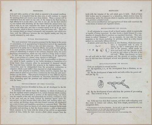 E675 - A System of Human Anatomy - 1857 - 4505-4506