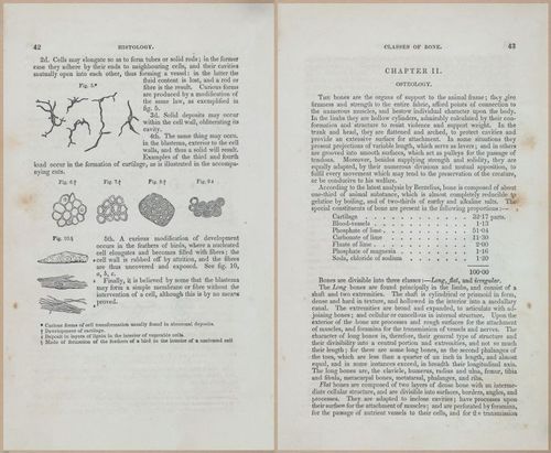 E675 - A System of Human Anatomy - 1857 - 4507-4508