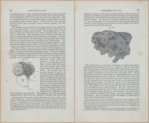E675 - A System of Human Anatomy - 1857 - 4509-4510