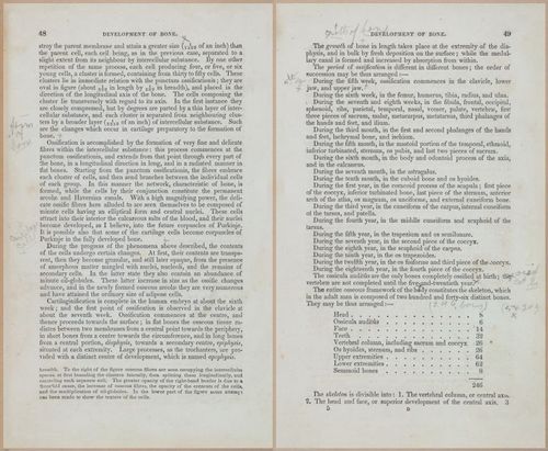 E675 - A System of Human Anatomy - 1857 - 4514-4515
