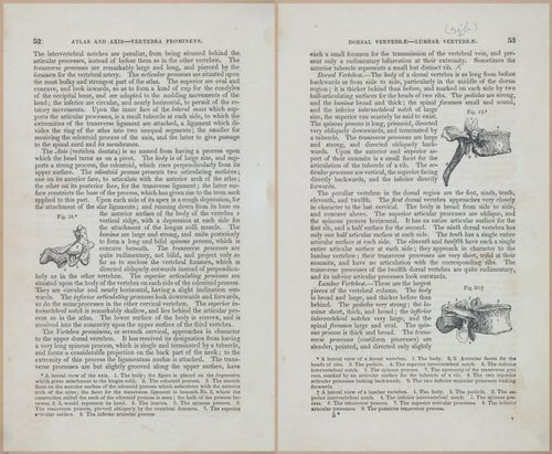 E675 - A System of Human Anatomy - 1857 - 4518-4519