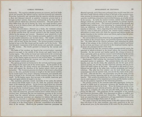 E675 - A System of Human Anatomy - 1857 - 4520-4521
