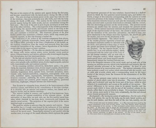 E675 - A System of Human Anatomy - 1857 - 4522-4523