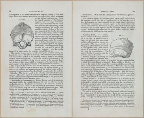 E675 - A System of Human Anatomy - 1857 - 4526-4527