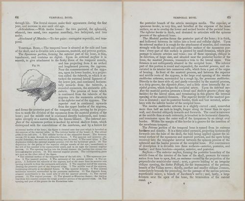 E675 - A System of Human Anatomy - 1857 - 4530-4531