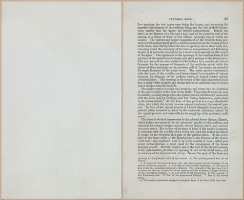 E675 - A System of Human Anatomy - 1857 - 4532