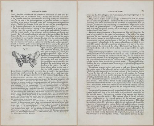 E675 - A System of Human Anatomy - 1857 - 4535-4536