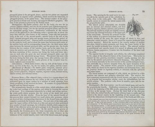 E675 - A System of Human Anatomy - 1857 - 4537-4538