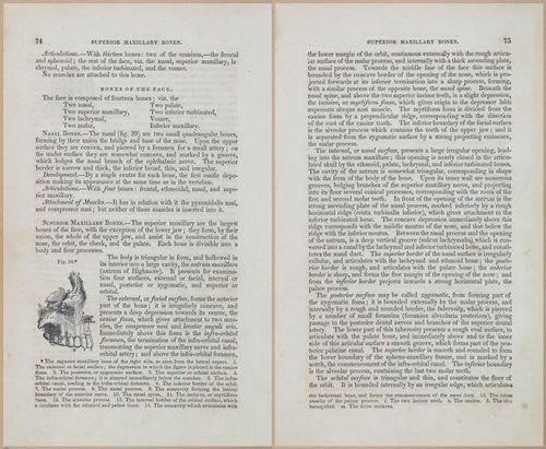 E675 - A System of Human Anatomy - 1857 - 4539-4540