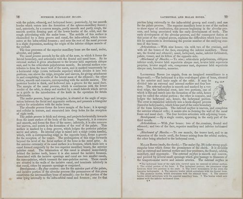 E675 - A System of Human Anatomy - 1857 - 4541-4542