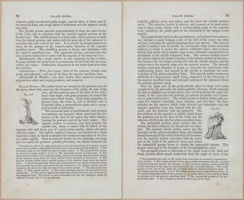 E675 - A System of Human Anatomy - 1857 - 4543-4544