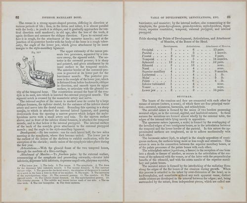 E675 - A System of Human Anatomy - 1857 - 4547-4548