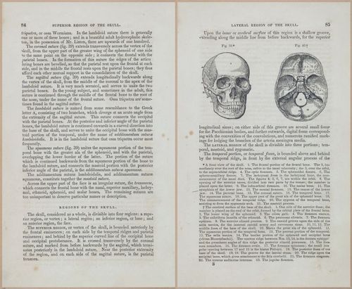 E675 - A System of Human Anatomy - 1857 - 4549-4550