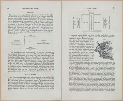 E675 - A System of Human Anatomy - 1857 - 4555-4556