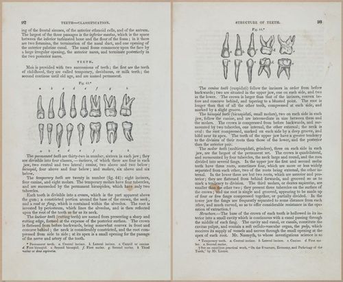 E675 - A System of Human Anatomy - 1857 - 4557-4558