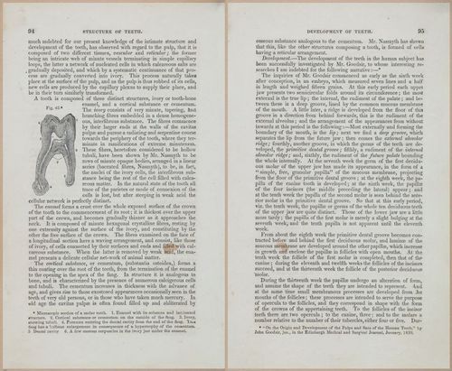 E675 - A System of Human Anatomy - 1857 - 4559-4560