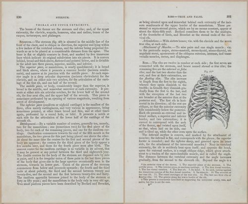 E675 - A System of Human Anatomy - 1857 - 4565-4566