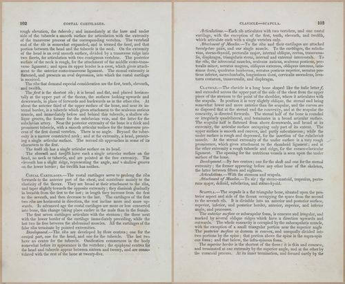 E675 - A System of Human Anatomy - 1857 - 4567-4568