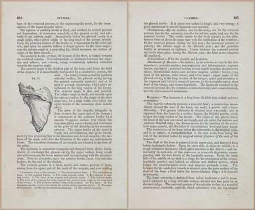 E675 - A System of Human Anatomy - 1857 - 4569-4570