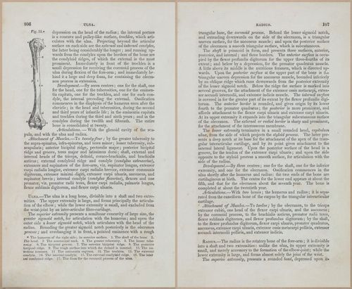 E675 - A System of Human Anatomy - 1857 - 4571-4572