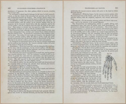 E675 - A System of Human Anatomy - 1857 - 4575-4576