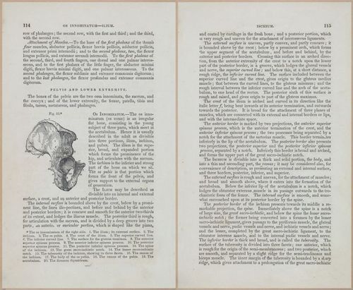 E675 - A System of Human Anatomy - 1857 - 4579-4580