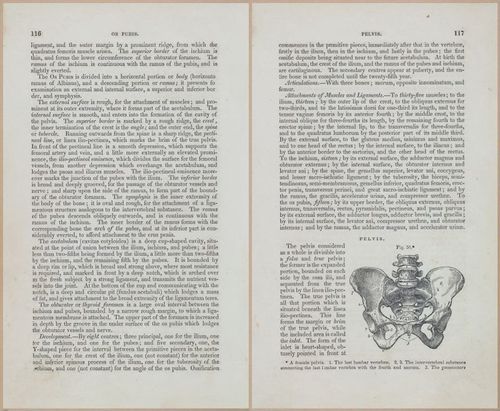 E675 - A System of Human Anatomy - 1857 - 4581-4582