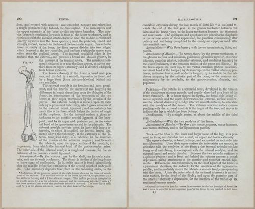 E675 - A System of Human Anatomy - 1857 - 4585-4586