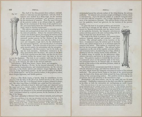 E675 - A System of Human Anatomy - 1857 - 4587-4588