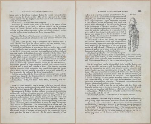 E675 - A System of Human Anatomy - 1857 - 4589-4590