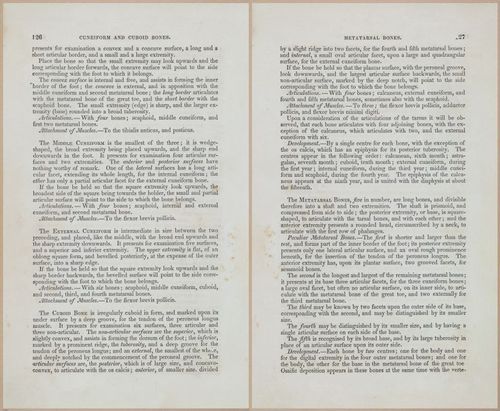 E675 - A System of Human Anatomy - 1857 - 4591-4592